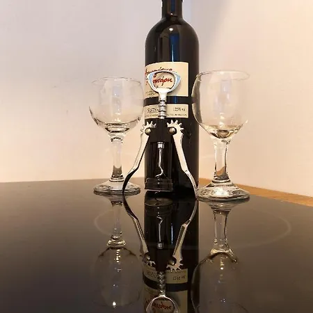 公寓 Nikogroup Plaza *