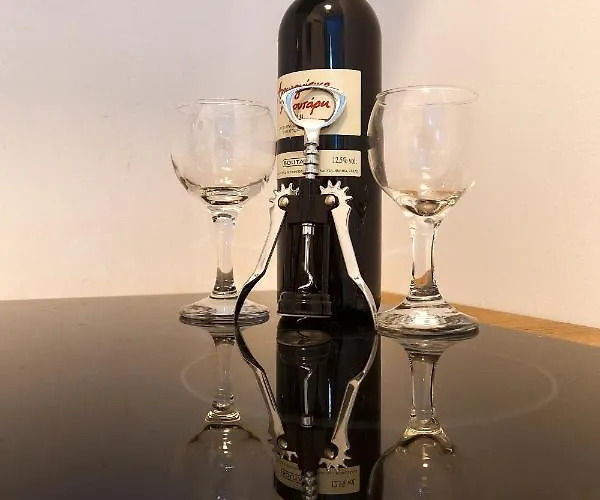 Apartamento Nikogroup Plaza *