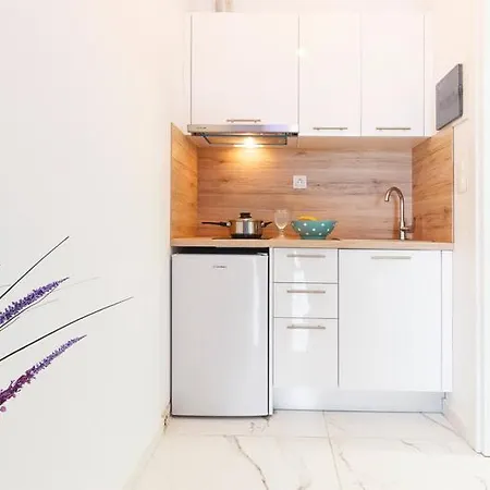 Nikogroup Plaza Apartman Políhrono